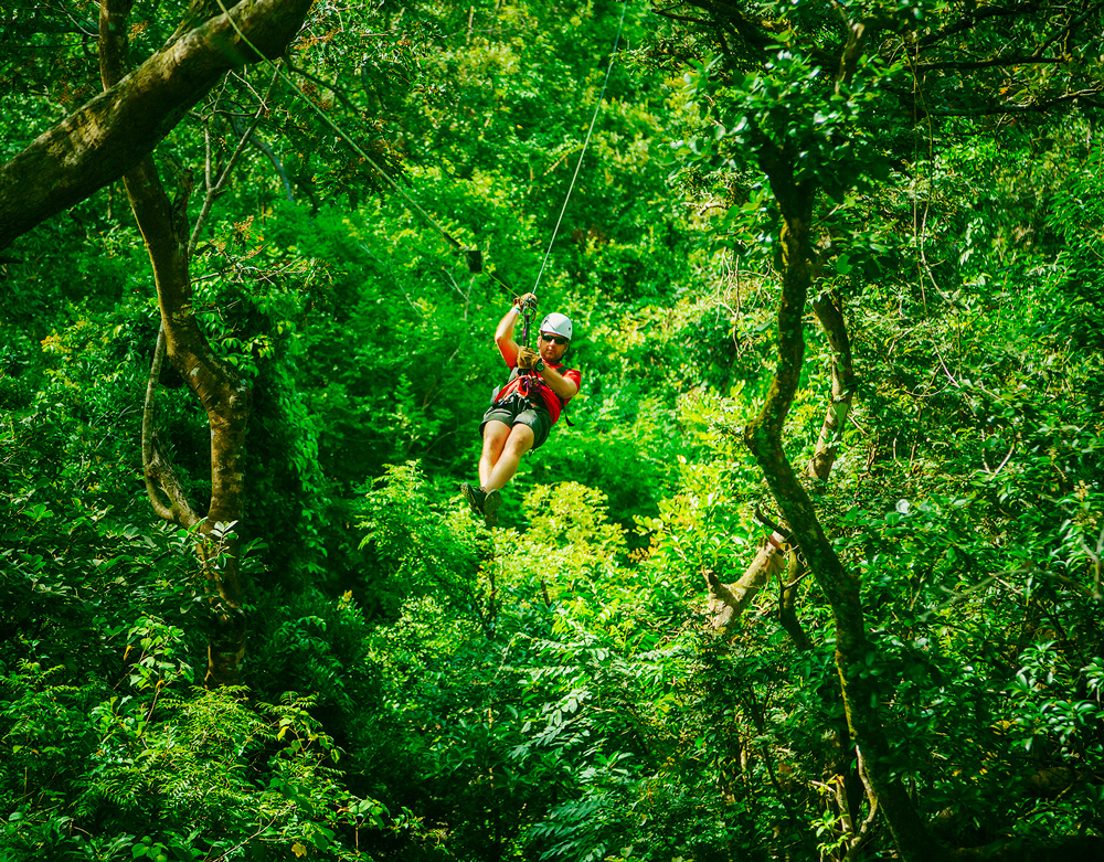 canopy-tour