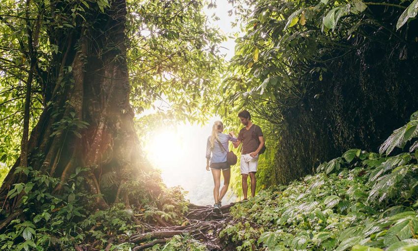 hiking-in-puerto-vallarta