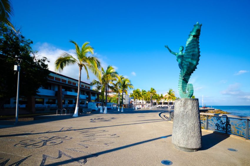 puerto-vallarta-seahorse